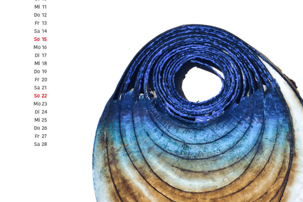 Teaser - Kolod Kalender 2026 - Februar - Mondschaukel, 2023