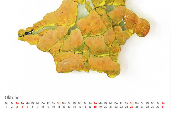 Teaser - Kolod Kalender 2026 - Oktober - glühende Landschaft, 2012
