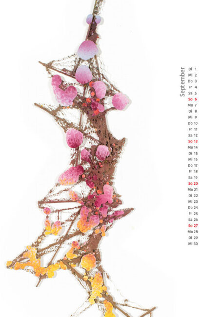 Kolod Kalender 2026 - September - The map, 2012